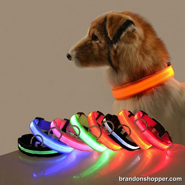 Rechargeable Glowing LED Dog Leash